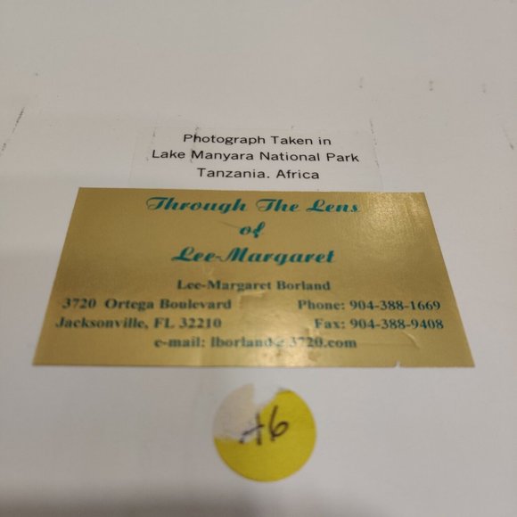 Hippopotamus Photography Lake Manyara National Park Tanzania Africa Lee-Margaret - Picture 12 of 15